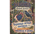 272 Черника