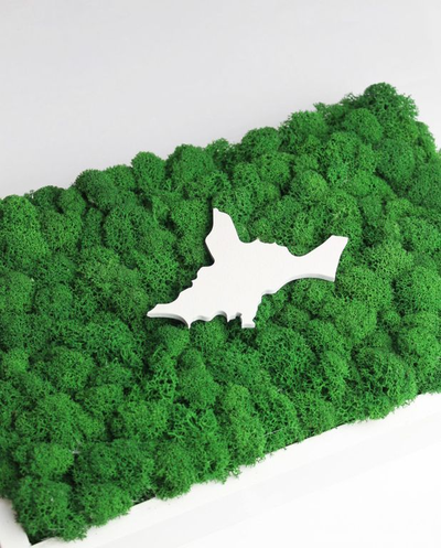 ЖИВАЯ ЭКО-КАРТИНА 1032