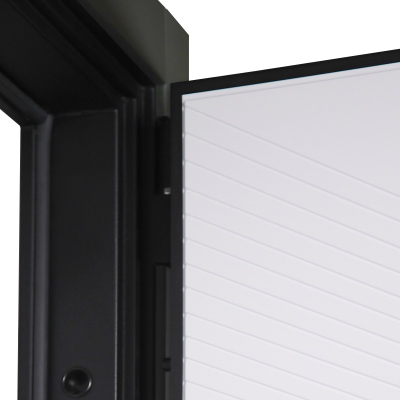 Стальная дверь   Ferrum (биометрический замок)