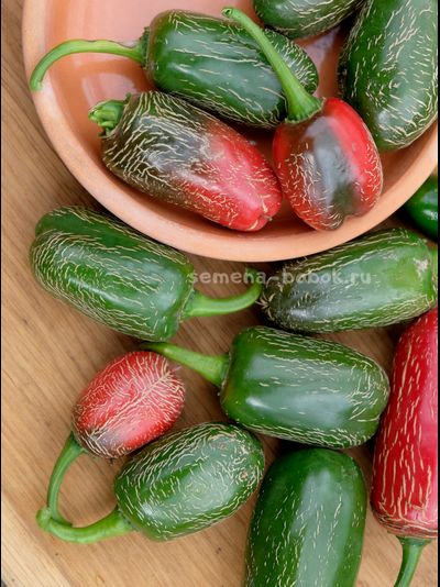 Перец острый Jalapeno Chichimeca, 10 шт