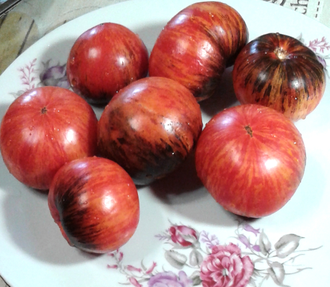 Семена томата Мечта Алисы