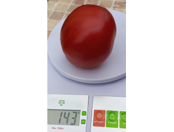 Томат Косентино сел Клауди (Cosentino sel Claudia), Италия