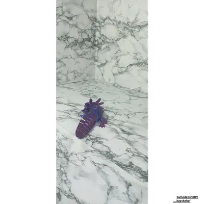 Аксолотль