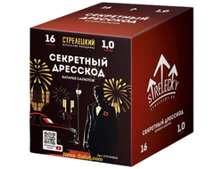 Салют СЕКРЕТНЫЙ ДРЕССКОД СТР0110016 СТРЕЛЕЦКИЙ