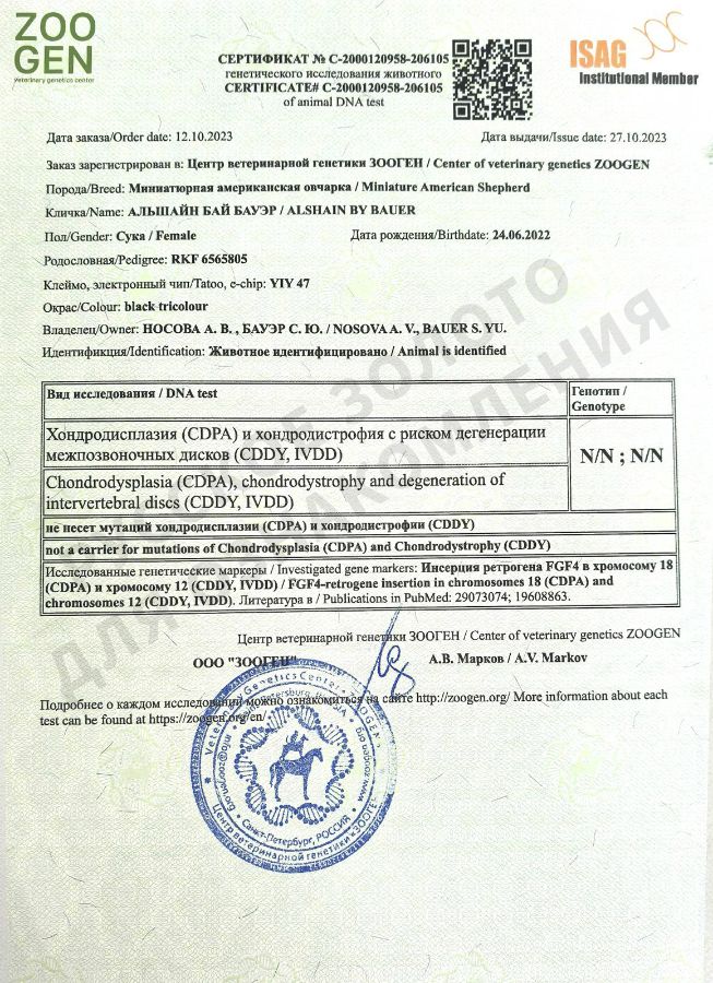 Аля. Результаты анализов на генетические заболевания.