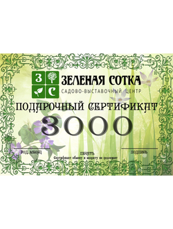 Подарочный сертификат 3000 руб