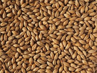 Солод Scottish HDP Malt 3.5 EBC Crisp (Англия), 1 кг