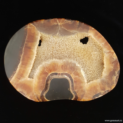Аммонит, полированный с 2-х сторон спил. Россия.