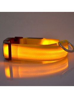Светящийся ошейник для собаки
