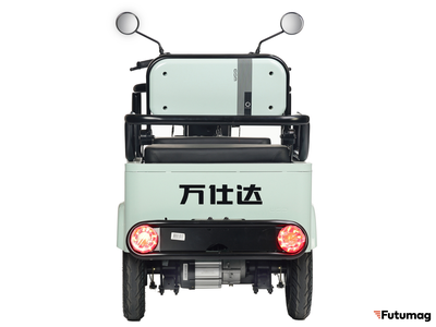 Электротрицикл Wanshida LC-F150 60V 1000Вт серый