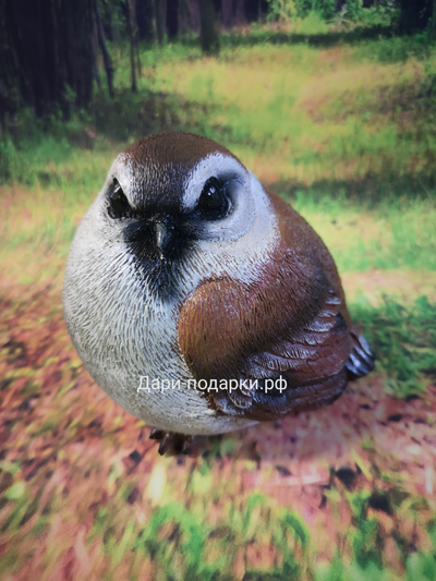 ВОРОБЕЙ садовая фигура 8*8см  0,4кг  полистоун Россия 684//012523 Воробей - это символ веселья, любви к жизни и энергичности.