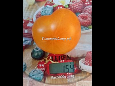 Томат Азочка (Azoychka)