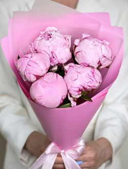 5 пионов (цвет на выбор)