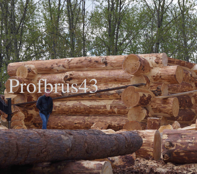 Сруб бани из бревна ручной рубки Кедр, 16 м2