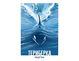 220 Териберка. Магическое море