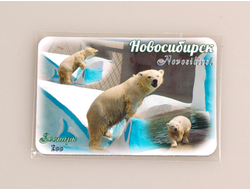 Гибкий сувенирный магнит на холодильник 8х6 см. с фото медвежонка из Новосибирского зоопарка