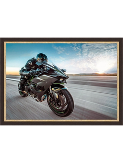 картина в раме 50 х 70 см Скорость