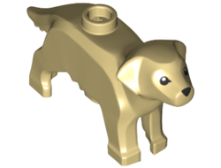 Dog, Labrador / Golden Retriever with Black Eyes and Nose Pattern, Tan (69962pb01 / 6329603)