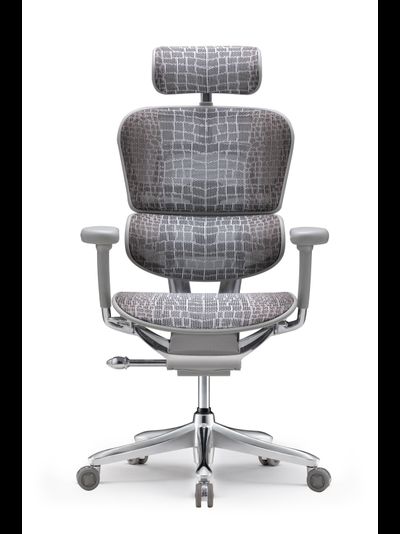 Comfort Workspace Ergohuman Everest Special Edition Zhichun Himalaya