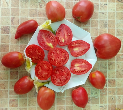 Томат Остроконечник СШA (USA Pointue)