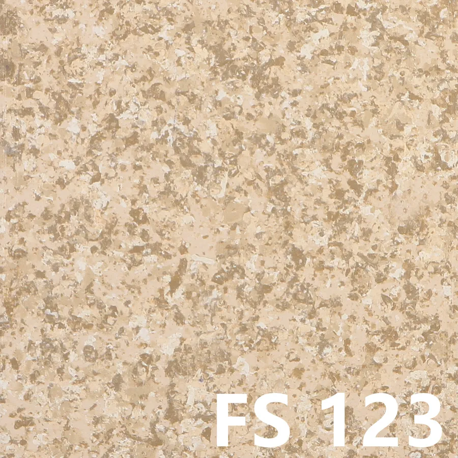 FS123