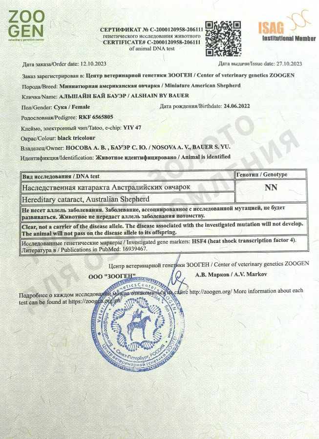 Аля. Результаты анализов на генетические заболевания.