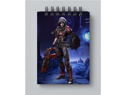 Блокнот Borderlands, Бордерленд №9