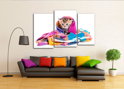 Модульная картина "Котенок в шали"