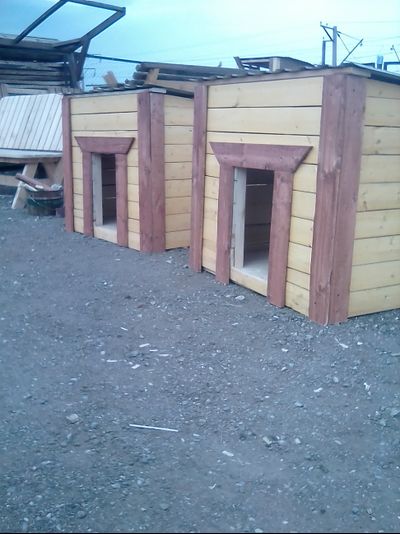 заказать собачью будку в Саратове