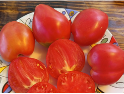 Томат Яйцо Быка с реки Гуадаррама (Huevo Toro Del Rio Guadarrama)