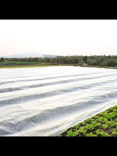 Пленка полиэтиленовая 6м*50м 250 мкм 40 кг МТ-ПАК ТОРГ