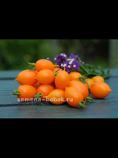 Томат Юстина (Justyna), 10 шт