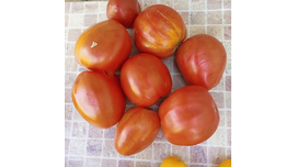 Минусинские стаканы красные