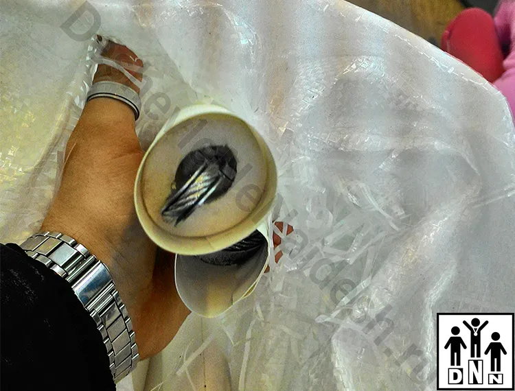 Канаты для ринга