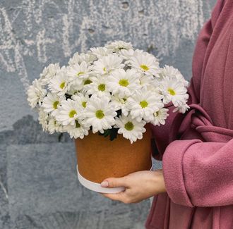 Доставка цветов в Волгограде - FLOWER34.RU - Коробочка из ромашковых хризантем
