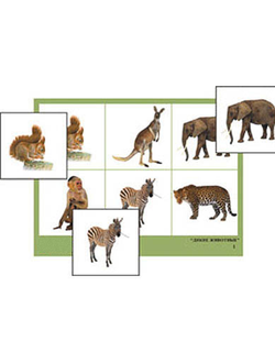 Лото "Дикие животные" (4 планшета, 24 карт., цвет., ламинир.)