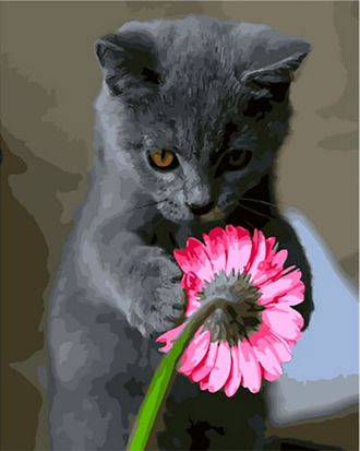Картина по номерам 40х50 GX 39179 Кошка с цветком