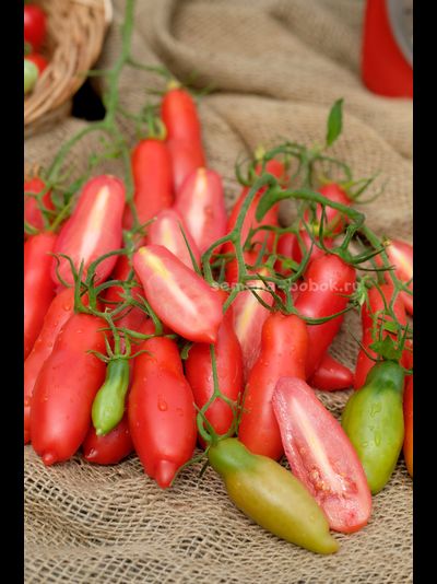 Томат Butalina di Castellamonte  (Бутылочный из Кастелламонте), 10 шт