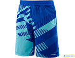 Теннисные шорты детские Head Vision B Clay Bermuda Knitted (blue)