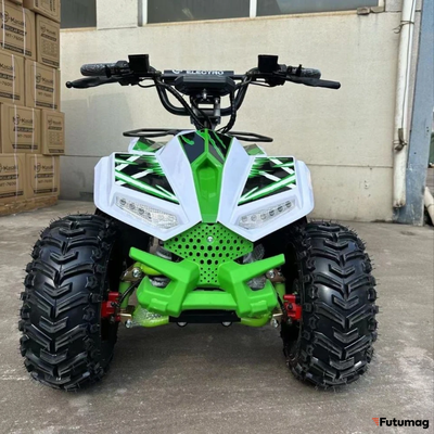 Электроквадроцикл ECO Lizard 48V30AH