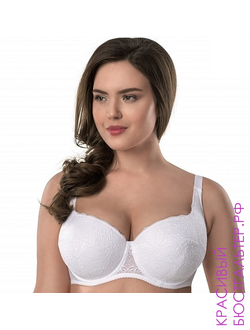 ПЛОТНЫЕ ЧАШКИ И СПЕЙСЕР