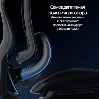 Ортопедическое кресло SIHOO Doro C300 Pro | чёрное