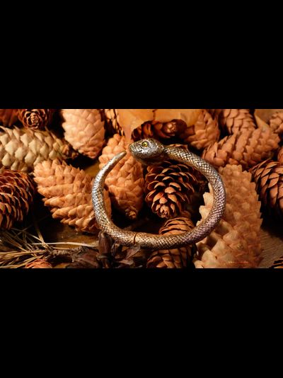 &quot;Золотая Радужная Змейка&quot;, необычный браслет в осеннем стиле