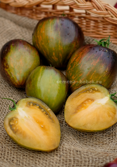 Томат Охровая Вуаль