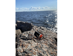 Духи НОТА: УСТА САХАРНЫЕ, 2.5 мл