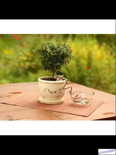 Система корневого полива (набор 3 шт)