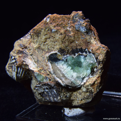 Анапаит, кристаллы в полости ракушки. 55*52*33мм