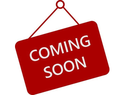 Фигурка футболиста Endrick (WE+)