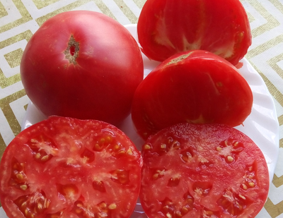 Томат Мамонт (Mammoth)