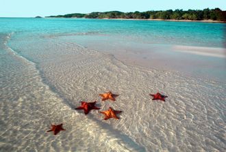 Остров Саона: волшебный мир морских звезд